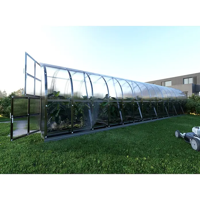Klasika Greenhouses Gewächshaus Arch Klasika - Außenmaß inkl. Dachüberstand (B x T): 300 x 1.200 cm, Material Seitenwand: Kunststoff, 6 mm, Silbergrau - Langes Bogengewächshaus mit transparenten Paneelen und dunklem Rahmen, offene Tür, Pflanzen innen, im Garten.