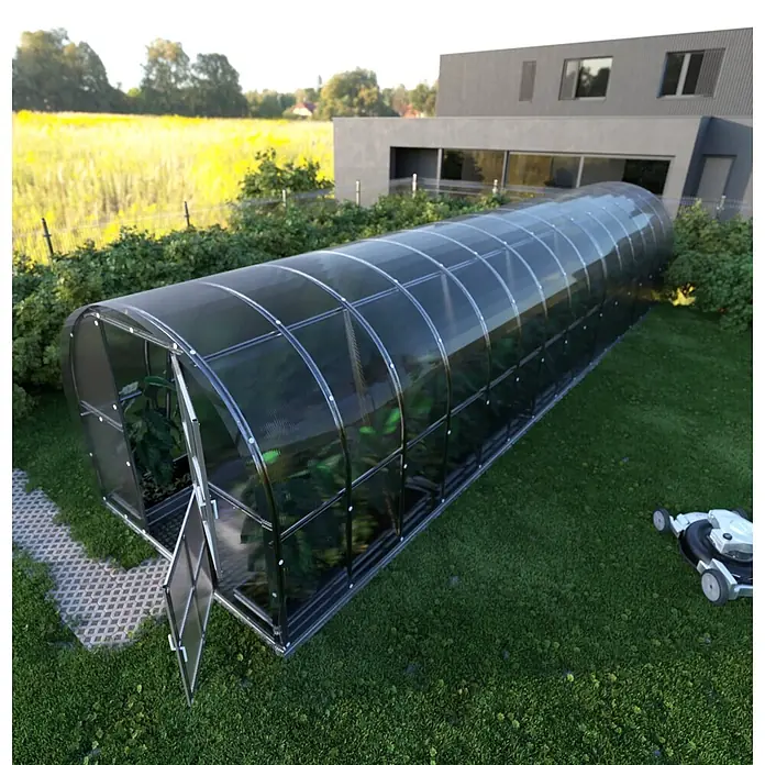 Klasika Greenhouses Gewächshaus Arch Klasika - Außenmaß inkl. Dachüberstand (B x T): 300 x 1.200 cm, Material Seitenwand: Kunststoff, 6 mm, Silbergrau - Langes, gewölbtes Gewächshaus mit transparenten Paneelen und Metallrahmen, im Garten mit sichtbaren Pflanzen, neben einem modernen Haus.