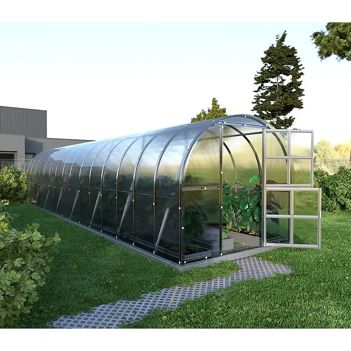 Klasika Greenhouses Gewächshaus Arch Klasika - Außenmaß inkl. Dachüberstand (B x T): 300 x 1.200 cm, Material Seitenwand: Kunststoff, 6 mm, Silbergrau - Langes, gewölbtes Gewächshaus mit transparenten Paneelen und silbernem Rahmen, offene Tür zeigt Pflanzen, auf Rasen mit Steinweg.