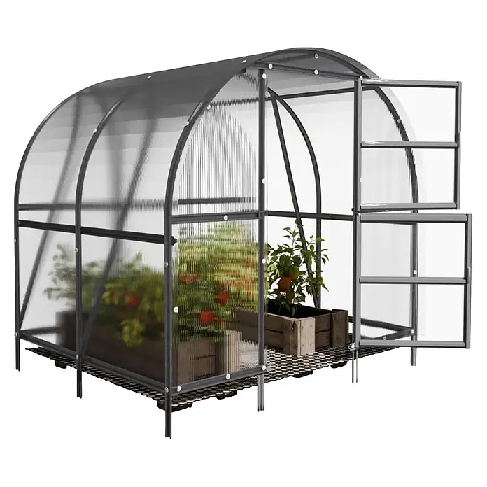 Klasika Greenhouses Gewächshaus Baltic Lt Klasika - Außenmaß inkl. Dachüberstand (B x T): 300 x 200 cm, Material Seitenwand: Kunststoff, 4 mm, Silbergrau - Gewölbtes Gewächshaus mit dunkelgrauem Rahmen, klaren Wellplatten, zwei geöffneten Lüftungsfenstern und Topfpflanzen auf Gitterbasis.