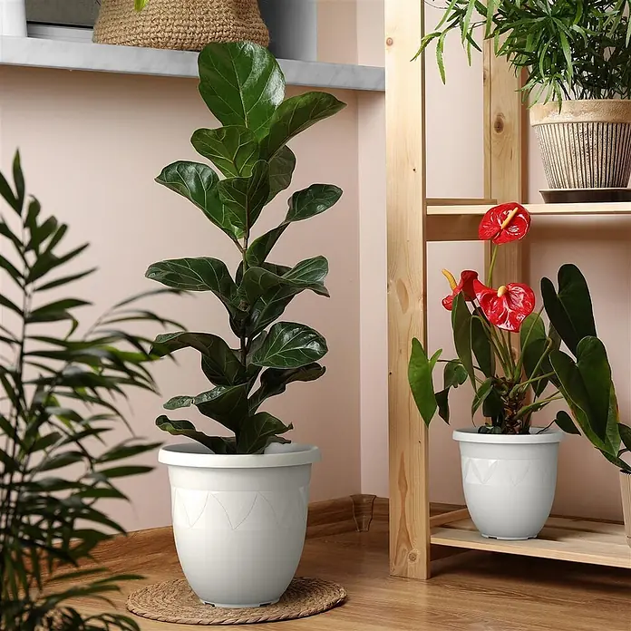 Plastard Pflanztopf Capri 5er Set - Außenmaß (Ø x H): 27 x 22 cm, Kunststoff, Weiß - Zwei weiße Pflanzgefäße mit Zickzackmuster, die Pflanzen enthalten. Eines steht auf einer Matte, das andere auf einem Holzregal.