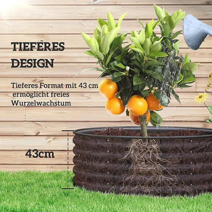 Furnicato Hochbeet - 120 x 120 x 43 cm, Stahl, Dunkelgrau - Rundes, dunkelbraunes Wellblech-Hochbeet, 43 cm tief, für gesundes Wurzelwachstum, mit Zitrusbaum beim Gießen gezeigt.