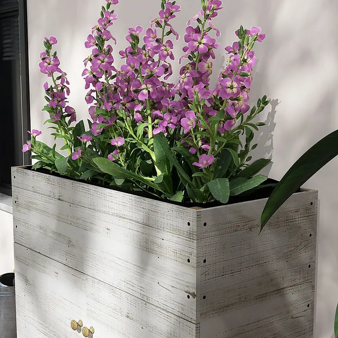 Outsunny Kräuterhochbeet - Material: Holz - Weiß getünchter Holzkasten mit leuchtend violetten Blumen, neben einem Fenster platziert.
