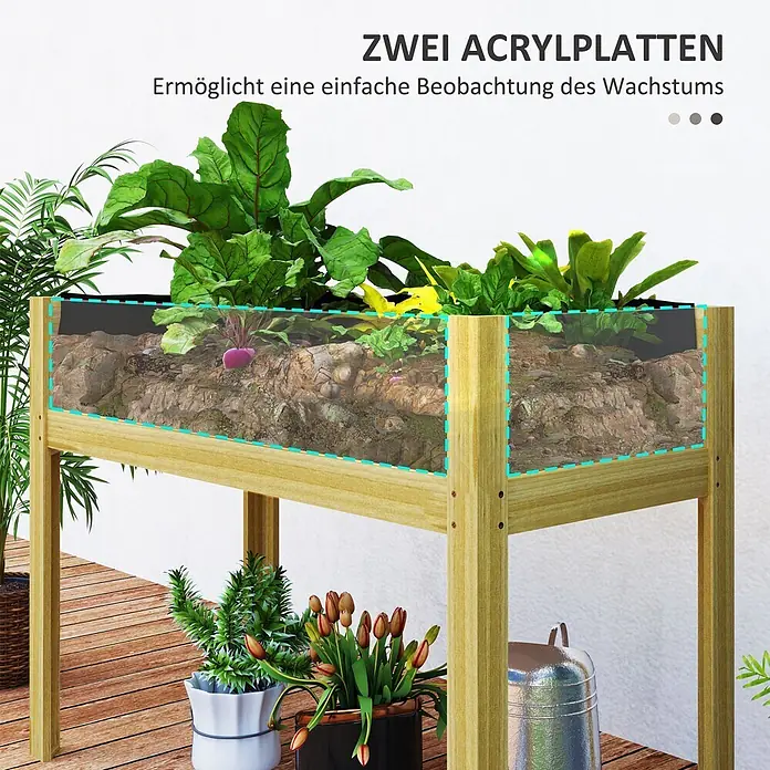 Outsunny Kräuterhochbeet - Material: Holz - Hochbeet aus Holz mit transparenten Acrylseiten, das wachsende Rote Bete und Erde zeigt und Wurzelbeobachtung ermöglicht.