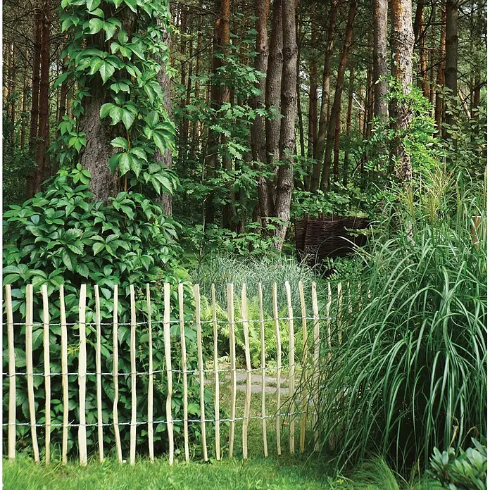 GartenLand Zaunpfosten - Höhe: 150 cm, Natur, Holz - Rustikaler Gartenzaun aus hellem Holz, der einen natürlichen Waldbereich abgrenzt.