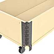 Upyard Maceta para hierbas Rollen (Natural, 120 x 40 x 19,5 cm) | BAUHAUS