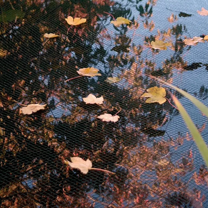 Ubbink Teichnetz PondNet - 10 x 6 m, Anzahl Erdspieße: 20 Stk. - Goldene Blätter liegen auf einem schwarzen Netz, das über einen Teich gespannt ist und das Herbstlaub auffängt, um die Wasserqualität zu schützen.