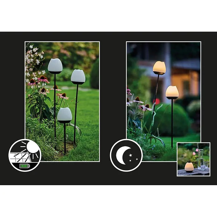 Lumix Solarleuchte Rosy - Lichtfarbe: RGB, Höhe: 100 cm, Rosy - Tulpenförmige Solar-Gartenleuchten, tagsüber aufladend und nachts warm leuchtend. Auch als Tischleuchte gezeigt.