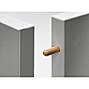 Hettich Leseni moznik  (Ø x Do: 6 x 60 mm, 1 kos) | 1151 - Konstruktionsbeschläge | AAEB - Möbelbeschläge | AAE - Beschläge | AA - Eisenwaren | A - Eisenwaren | BAUHAUS