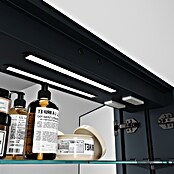 Disbain Armario con espejo LED Kenya (An x Al: 120 x 75 cm, Metal, Vidrio) | BAUHAUS