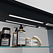 Disbain Armario con espejo LED Kenya (An x Al: 120 x 75 cm, Metal, Vidrio) | BAUHAUS