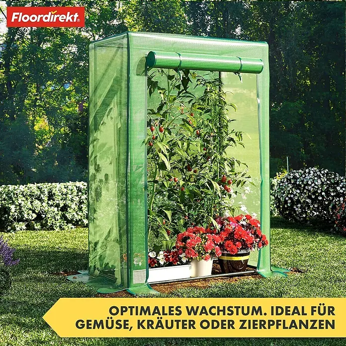 Floordirekt Gewächshaus Botanika - Außenmaß inkl. Dachüberstand (B x T): 100 x 50 cm, Material Seitenwand: Kunststoff - Kompaktes grünes Gewächshaus im Garten, ideal für Gemüse, Kräuter oder Zierpflanzen.