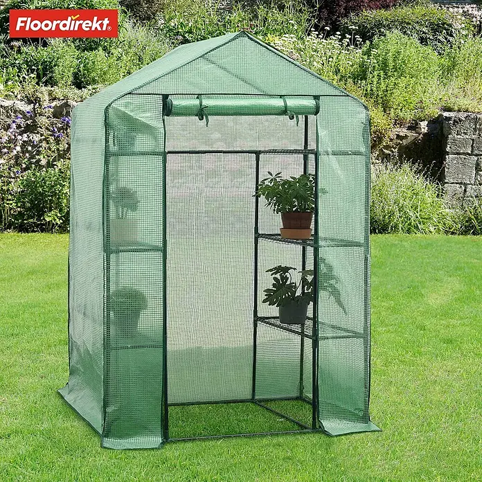Floordirekt Gewächshaus Harrest - Außenmaß inkl. Dachüberstand (B x T): 143 x 73 cm, Material Seitenwand: Kunststoff - Grünes begehbares Gewächshaus mit gitterverstärkter transparenter Abdeckung und Regalen, mit Topfpflanzen.