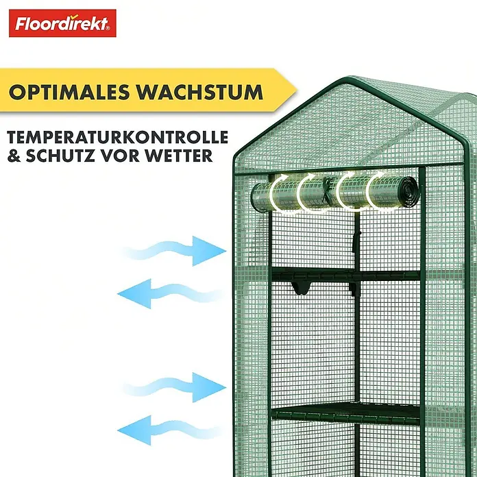 Floordirekt Folien-Gewächshaus Bloom - 49 x 69 x 160 cm, 4 Etagen, aufrollbare Tür mit Reißverschluss - Grünes Gewächshaus mit Regalen und aufrollbarer Tür für Temperaturkontrolle und Wetterschutz.
