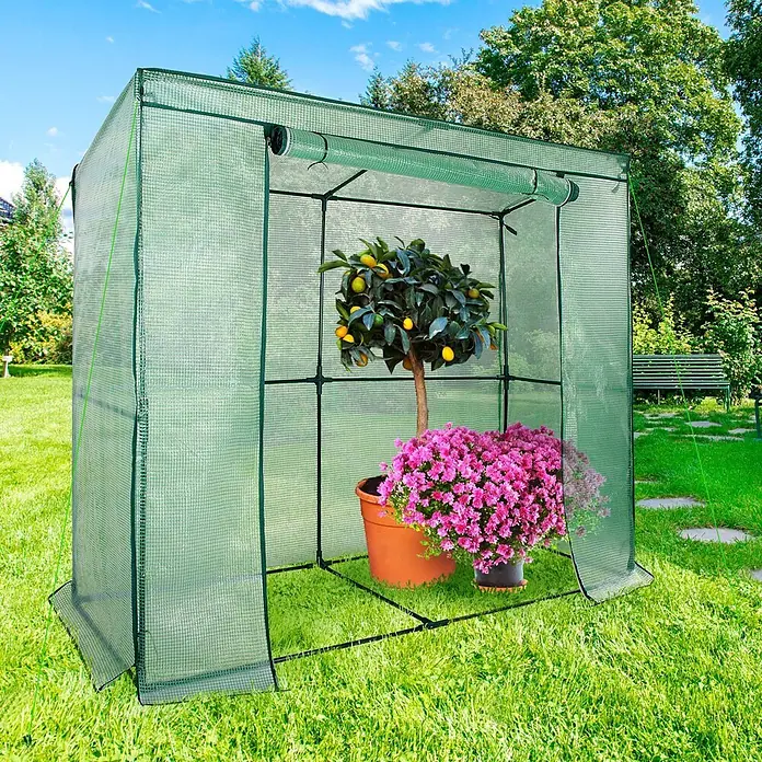 Floordirekt Gewächshaus Botanika - Außenmaß inkl. Dachüberstand (B x T): 200 x 78 cm, Material Seitenwand: Kunststoff - Ein kleines, begehbares Gewächshaus aus grünem Netzgewebe, mit einem Topfzitronenbaum und rosa Chrysanthemen.