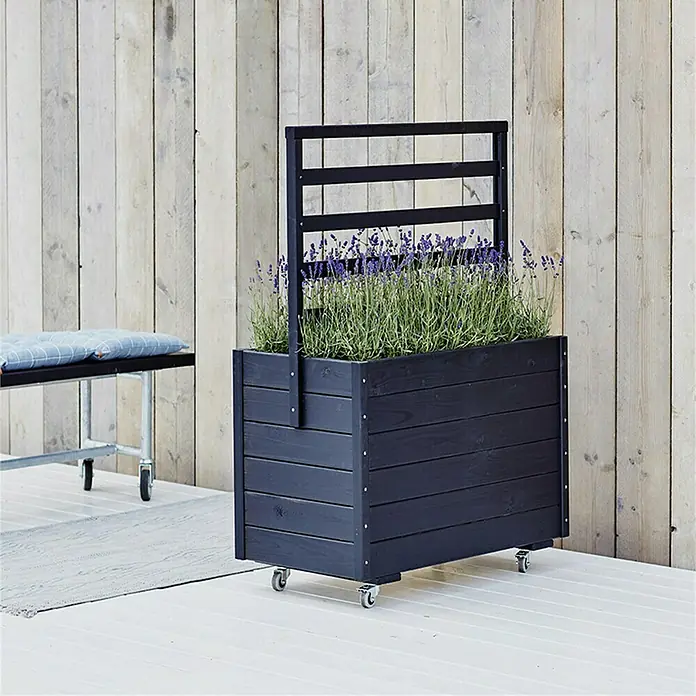 Plus Pflanzkasten - L x B x H: 88 x 48 x 124 cm, Schwarz, Mit Rankgitter - Schwarzer Pflanzkasten aus Holz mit Rankgitter und Lavendel, ideal für Garten oder Terrasse. Die Rollen ermöglichen ein einfaches Verschieben des Kastens.