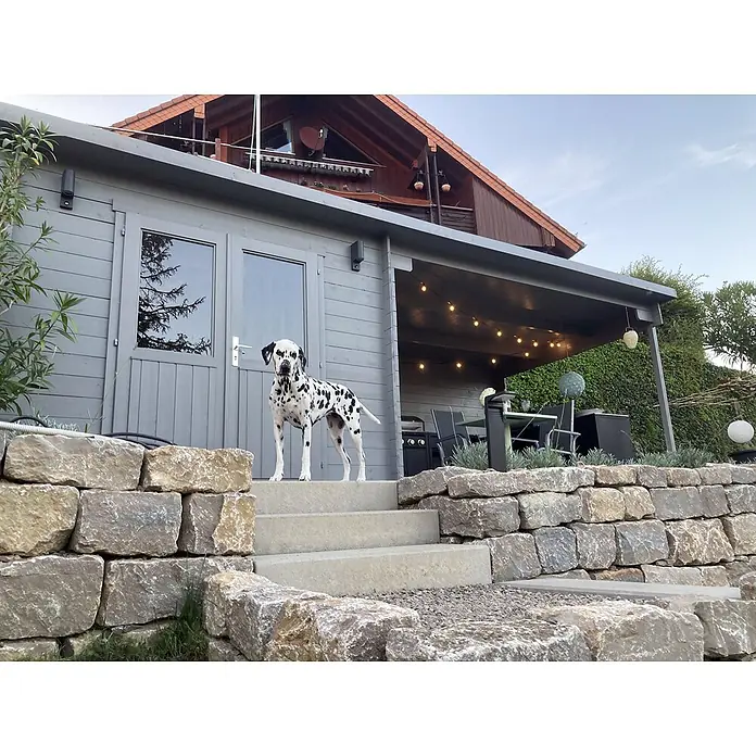 Fjordholz Gartenhaus Gent 28 B - Außenmaß inkl. Dachüberstand (B x T): 691 x 298 cm, Holz, Farbbehandlung Lichtgrau - Ein schwarz-weißer Dalmatiner steht auf Betonstufen vor einem modernen grauen Gartenhaus aus Holz.