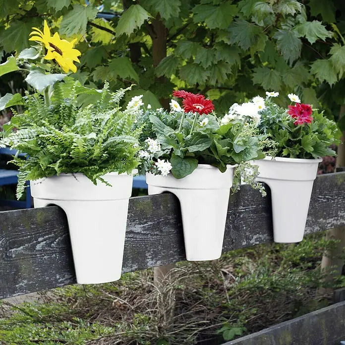 KHW Geländertopf Flowerclip - Außenmaß (Ø x H): 27 x 27,5 cm, Kunststoff, Weiß - Drei weiße Pflanzgefäße hängen an einem Zaun, gefüllt mit verschiedenen Pflanzen und Blumen, die eine farbenfrohe und natürliche Dekoration bieten.