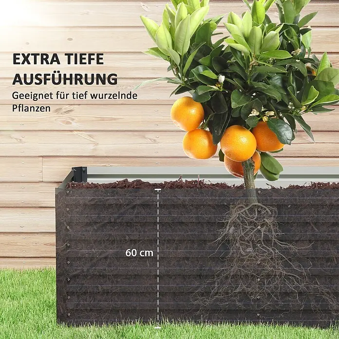 Outsunny Hochbeet - 240 x 60 x 60 cm, Stahl, Dunkelgrau - Tiefer, dunkelbrauner Hochbeet, gezeigt mit einer Zitruspflanze, die seine 60 cm Tiefe für Tiefwurzler im Garten hervorhebt.