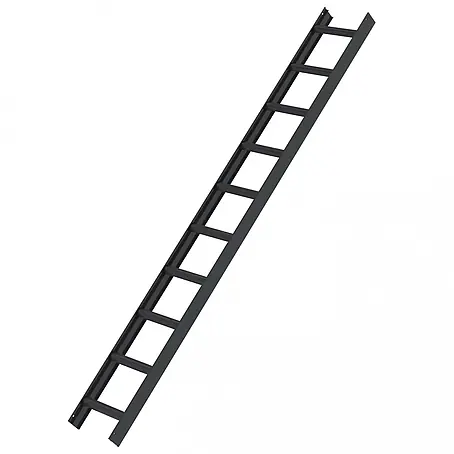 Munk  Dachleiter Aluminium Dachleiter 10 Sprossen anthrazitgrau