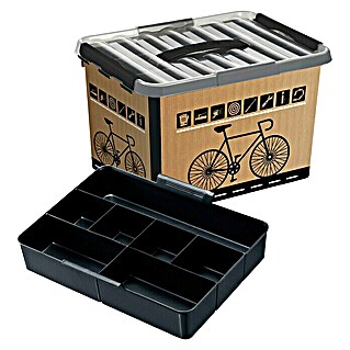 Sunware Aufbewahrungsbox Q-Line (L x B x H: 40 x 30 x 26 cm, Kunststoff, Braun)