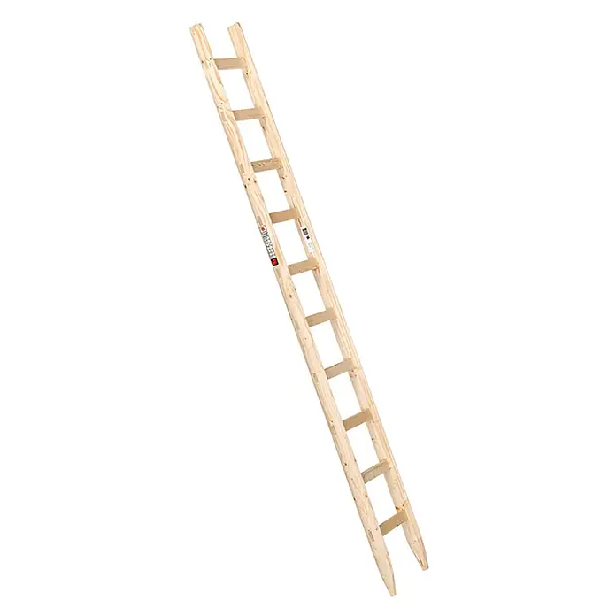 Euroline Anlegeleiter Holzanlegeleiter 10 Sprossen - Anzahl Tritte: 10 Stk., Arbeitshöhe: 4.200 m, Holz - Schräge Holzleiter aus hellem Holz mit flachen Sprossen und geraden Holmen.