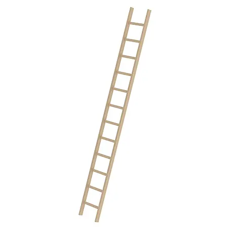 Munk  Anlegeleiter Holz-Anlegeleiter ohne Traverse 12 Sprossen