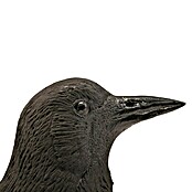 Figura decorativa Cuervo (Plástico)