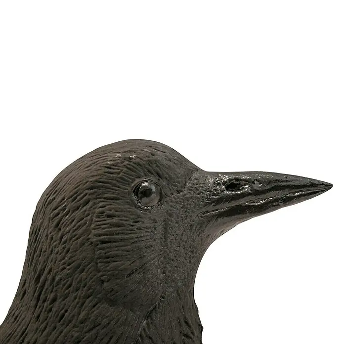 Altadex Figura decorativa Cuervo - Plástico - Primer plano de la cabeza de un cuervo negro que muestra su textura detallada y pico brillante sobre un fondo blanco.