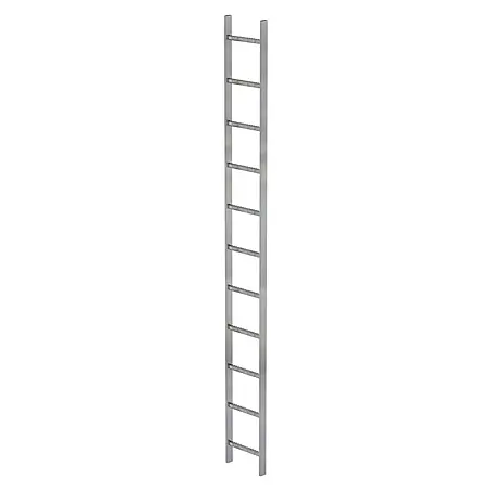 Munk  Steigleiter Schachtleiter Stahl verzinkt 300mm breit 11 Sprossen 3,08m lang