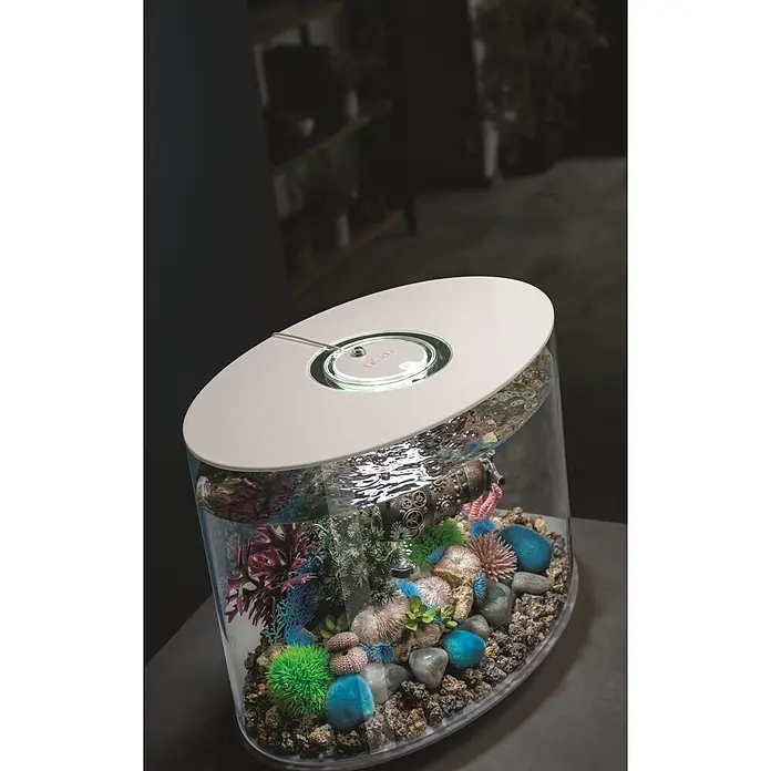 biOrb Aquarium Loop - 510 x 310 x 530 mm, 30 l, Weiß - Stilvolles Biorb Aquarium mit weißem Deckel, LED-Innenbeleuchtung und farbigen Dekorationen auf dunklem Ständer im Raum.