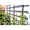 Windhager Pflanzstab Bambus-Optik (Ø x L: 1,1 x 180 cm, Braun)