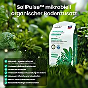 Aiper Bewässerungs-Set Irrisense 2 (Passend für: bis zu 445 m² Rasenfläche) | BAUHAUS