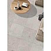 Palazzo Feinsteinzeugfliese Valdi (60 x 60 cm, Light Grey, Matt) | BAUHAUS