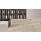 Palazzo Feinsteinzeugfliese Valdi (60 x 60 cm, Beige, Matt) | BAUHAUS