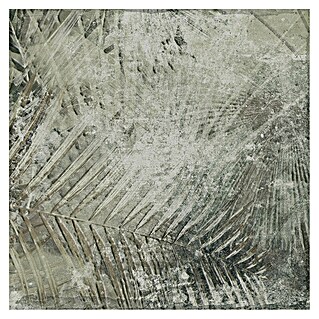 Feinsteinzeugfliese Amazonia (24,8 x 24,8 cm, Weiß/Grau, Matt)