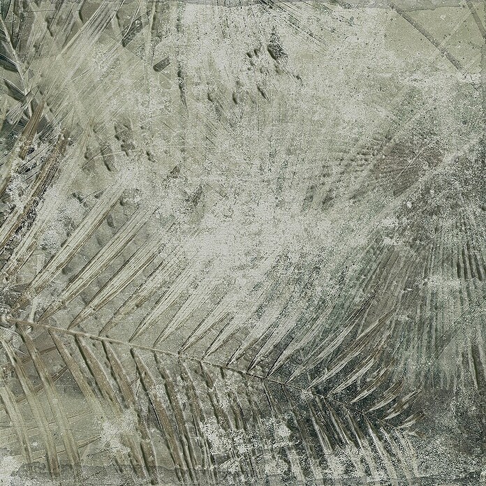 Feinsteinzeugfliese Amazonia (24,8 x 24,8 cm, Weiß/Grau, Matt) | BAUHAUS