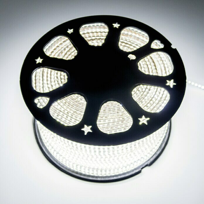 Alverlamp Tira LED a metros LT220 (12 W, Color de luz: Blanco neutro, Temperatura de color ajustable)