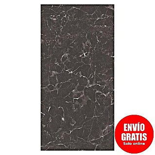 Bariperfil Protector de pared de cocina Backsplash (Galaxus black, 60 x 98 cm, Aluminio)