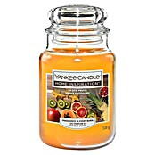 Yankee Candle Home Inspirations Duftkerze (Im Glas, Exotic Fruits, Large)