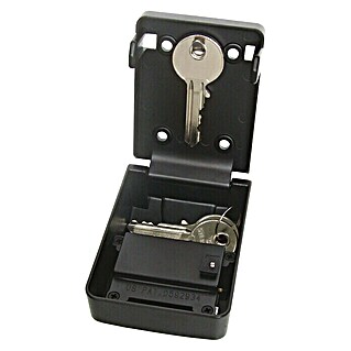 Burg-Wächter Caja para llaves KeySafe 10 SB (1 ud., L x An x Al: 6,1 x 3,9 x 8,5 cm)