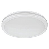 Green Tech Okrugla stropna LED svjetiljka  (24 W, Ø x V: 30 x 5,5 cm, Bijela) | BAUHAUS