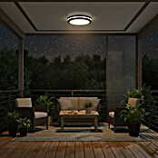 Green Tech LED okrogla stropna svetilka  (24 W, Ø x V: 30 x 5,5 cm, Črna) | 3087 - Outddor Wandstrahler | CAJA - Outdoorleuchten Hochvolt | CAJ - Outdoorleuchten | CA - Beleuchtung | C - Elektro | BAUHAUS