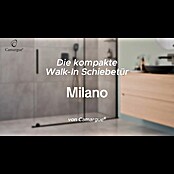 Camargue Duschwand Milano (B x H: 120 x 200 cm, Silberglanz) | BAUHAUS