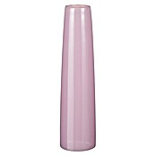 Vaza Xandra  (Ø x V: 10 x 37,5 cm, Steklo, Lila) | 8487 - Vasen/Windlichter | IDDD - Wohntrends | IDD - Trendy | ID - Trendy | I - Stadtgarten | BAUHAUS