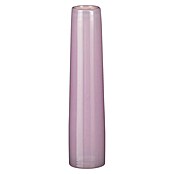 Vaza Xandra  (Ø x V: 7 cm x 30,5 mm, Steklo, Lila) | 8487 - Vasen/Windlichter | IDDD - Wohntrends | IDD - Trendy | ID - Trendy | I - Stadtgarten | BAUHAUS