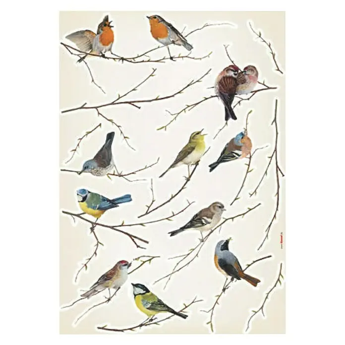 Komar Dekosticker Vogerl - Bunt, 50 x 70 cm - Eine Illustration von verschiedenen Vogelarten, die auf dünnen Ästen mit kleinen Knospen sitzen, auf beigem Hintergrund.