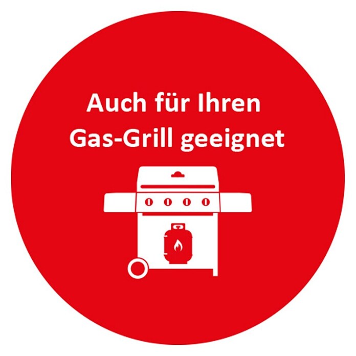 Rowi Gasdruckregler HGD 1/2 D (B x T x H: 13 x 10,5 x 6,5 cm, Grau) | BAUHAUS