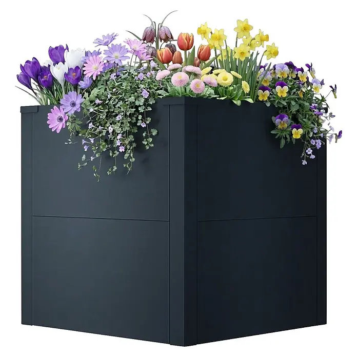 Metzler Hochbeet - 50 x 50 x 50 cm, Stahl, Anthrazit - Dunkelgrauer quadratischer Pflanzkasten mit bunten Frühlingsblumen.