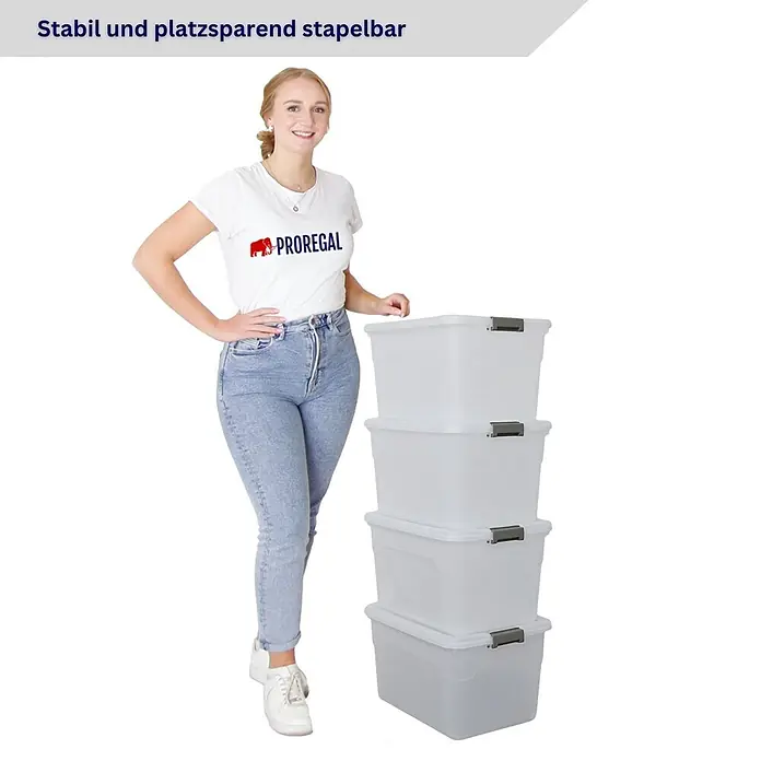 Proregal Aufbewahrungsbox-Set 4er mit Deckel - Klein - L x B x H: 33 x 46 x 26 cm, Kunststoff, Transparent, 4 Stk. - Vier stabile, platzsparende transparente Aufbewahrungsboxen mit grauen Verschlüssen, gestapelt.